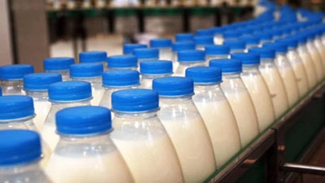 Всемирный банк выделяет $17 млн на развитие молочного сектора Кыргызстана — Today.kg