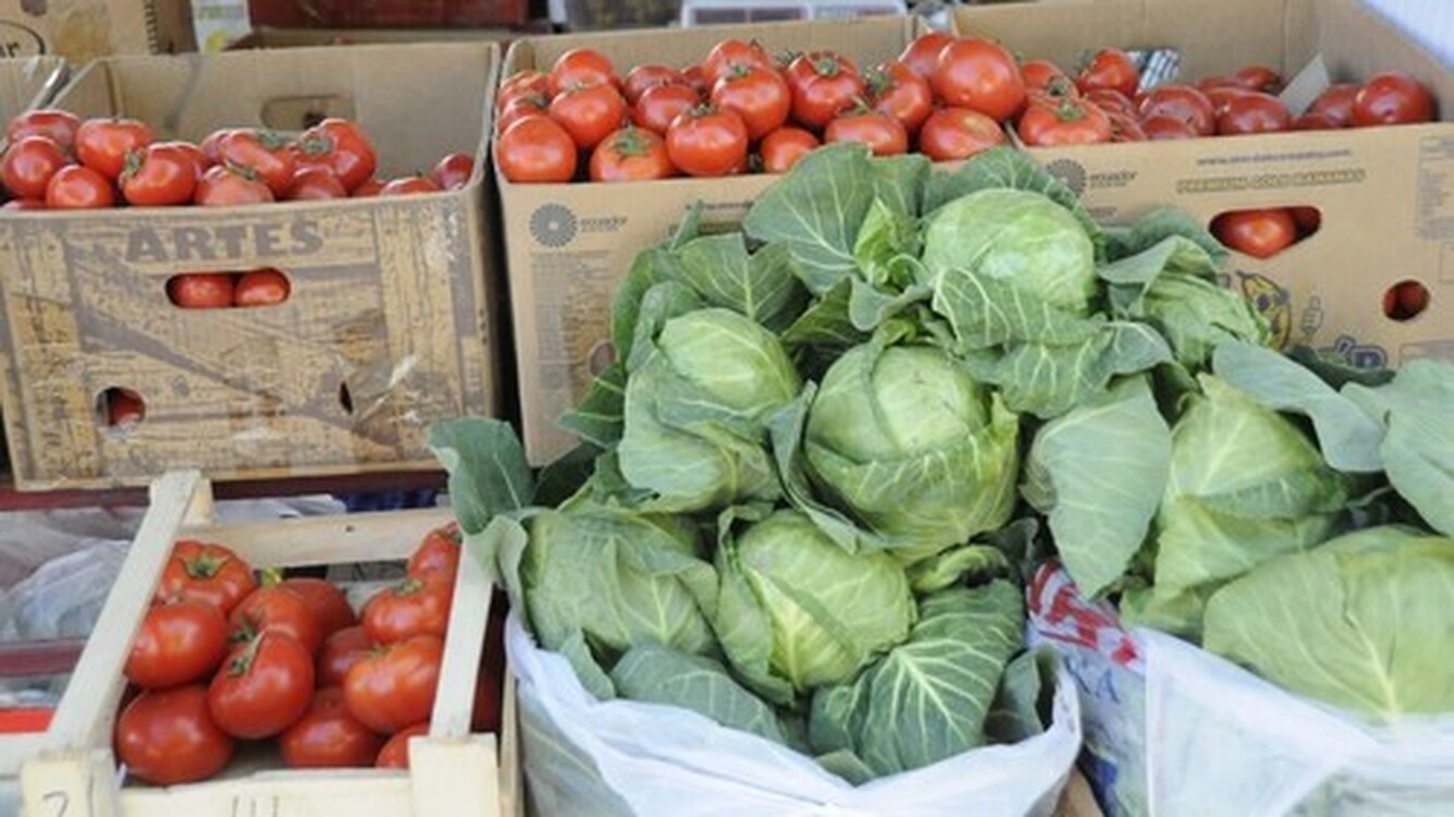 В мае Кыргызстан экспортировал в Россию овощей и съедобных корнеплодов на $2 млн, - Федеральная таможенная служба РФ — Today.kg