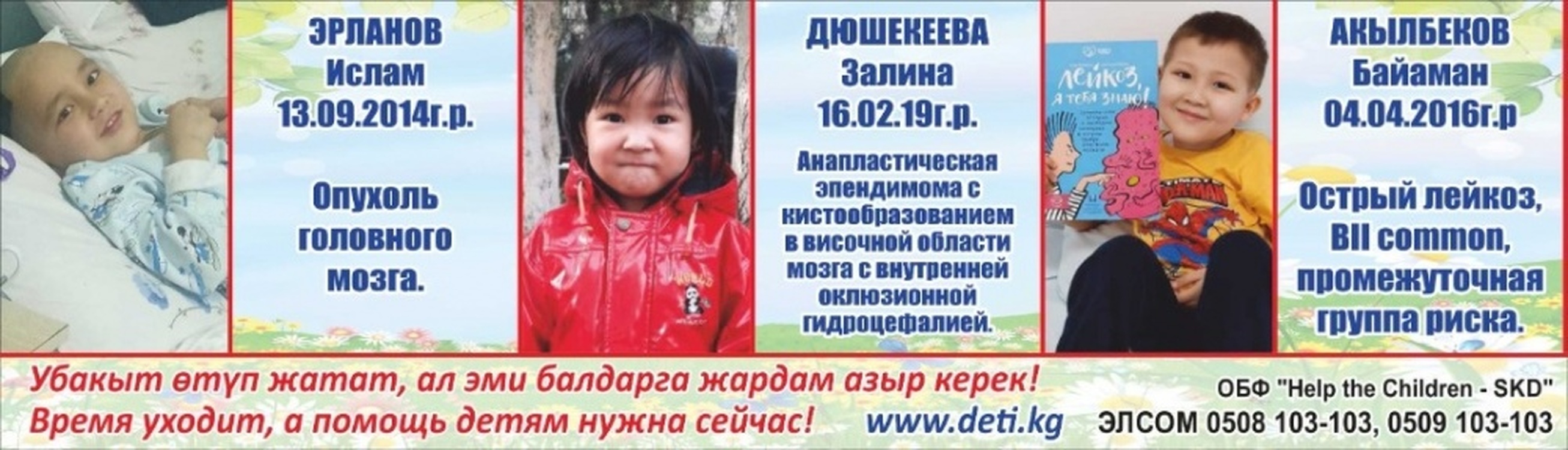 В Бишкеке пройдет благотворительный фестиваль в пользу онкобольных детей — Today.kg
