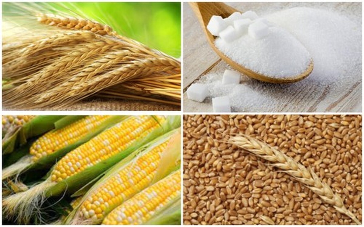 В Кыргызстане засеяли меньше пшеницы, чем в прошлом году - Нацстатком — Today.kg