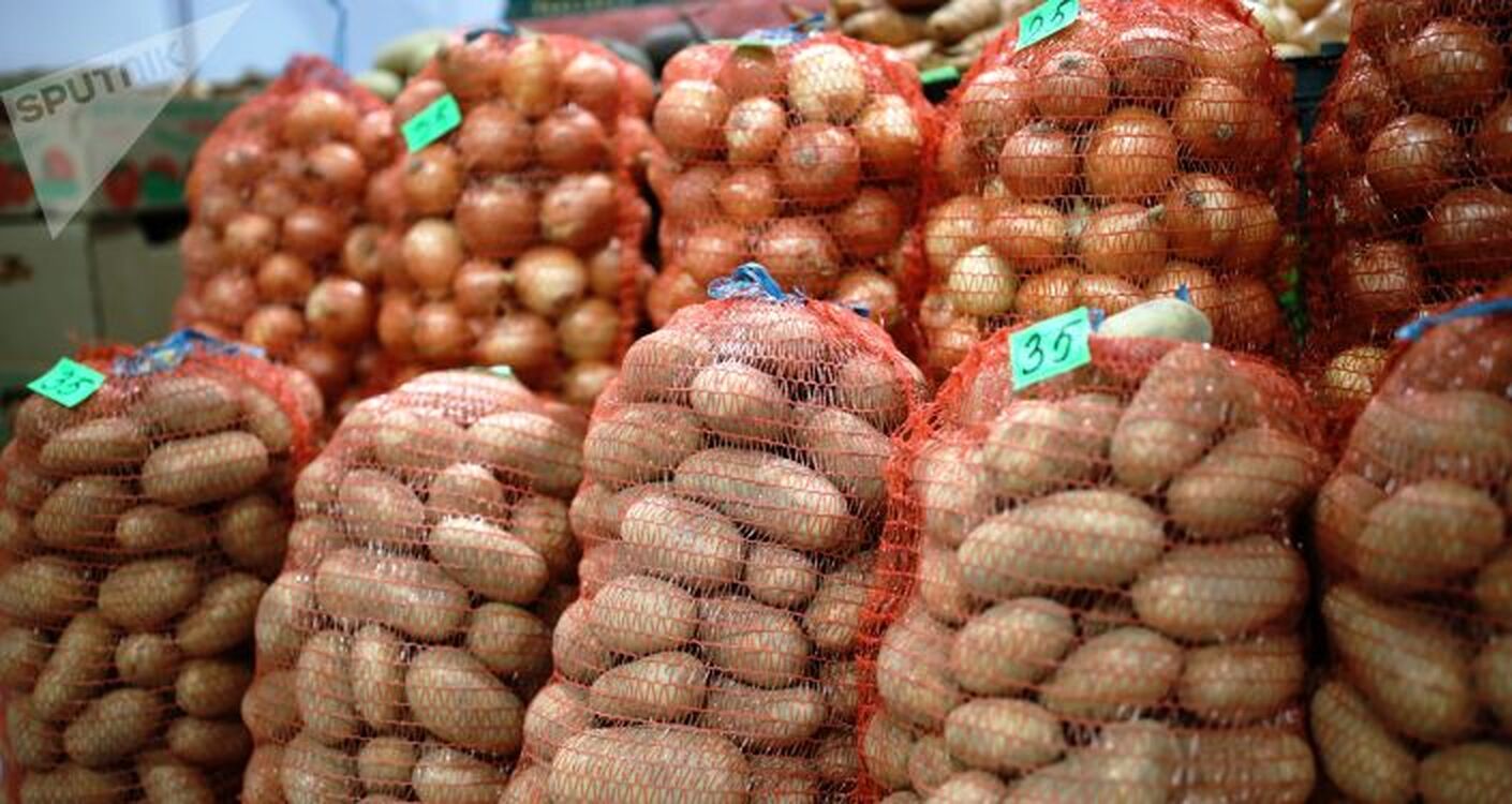Из КР стали вывозить в 1,5 раза больше картофеля — данные за 3 месяца — Today.kg