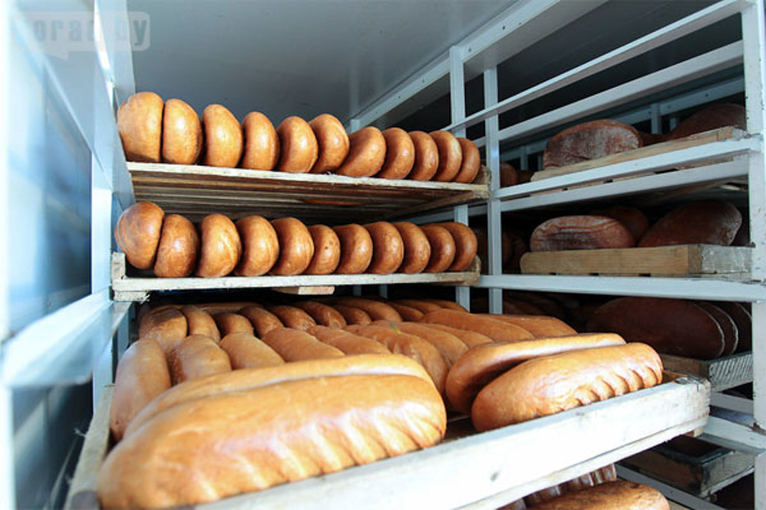 2700 пропусков получили предприниматели, развозящие по Бишкеку продукты — Today.kg