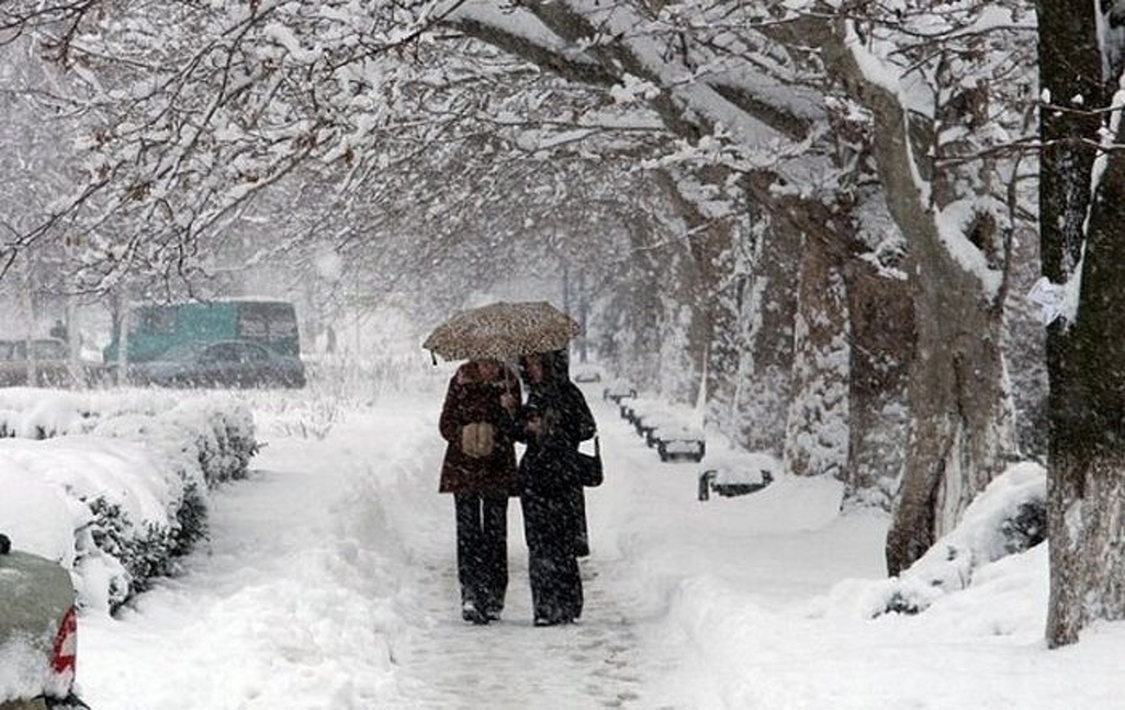 В каких районах Кыргызстана выпадет снег — погода до середины января — Today.kg