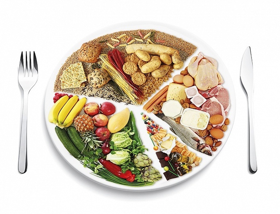 В КР в питании детей и взрослых отмечается недостаток белков и жиров — Today.kg
