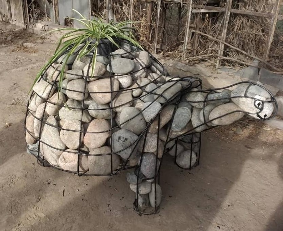 В Бишкеке появились каменные черепахи — Today.kg