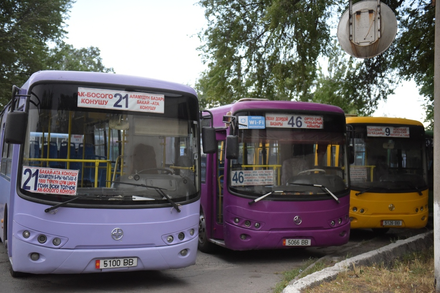 Водители столичных автобусов сдали экзамен на ПДД. Больше половины провалились — Today.kg