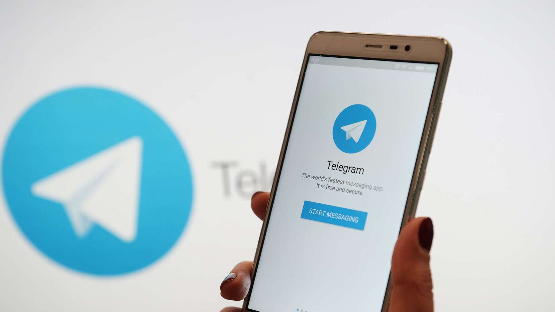 В Telegram появилась удобная возможность — Today.kg