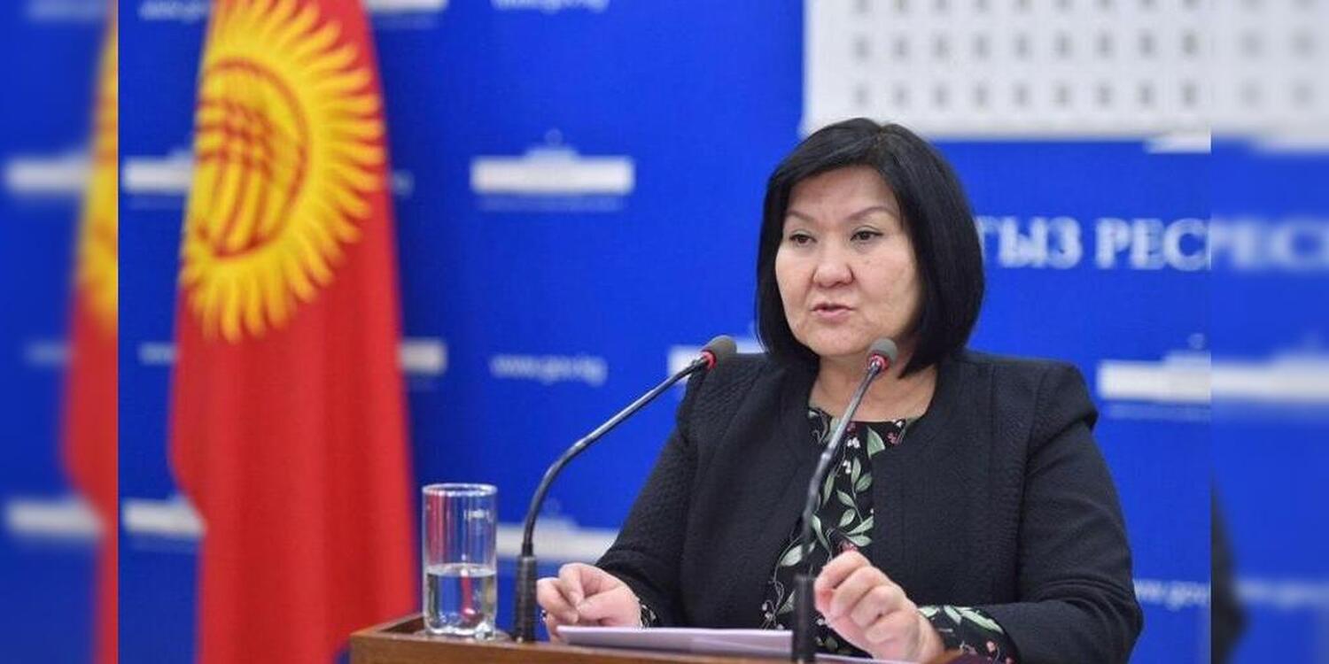 2020 gov kg. Джусупбекова Надира. Киргизстан заместитель министра. Чыныбаев Мирлан Койчубекович.