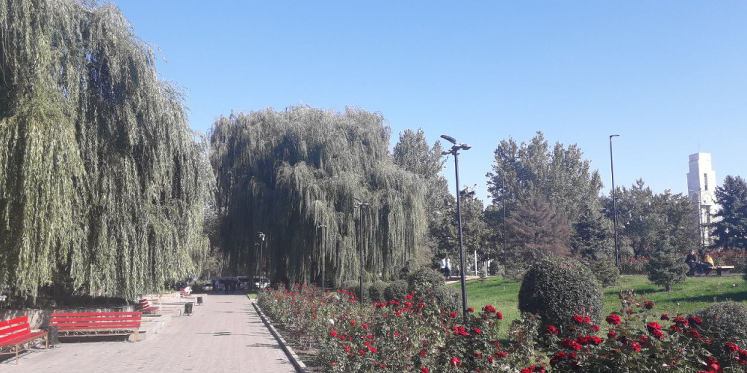 Кыргызгидромет сообщил, что в Бишкеке будет тепло — Today.kg