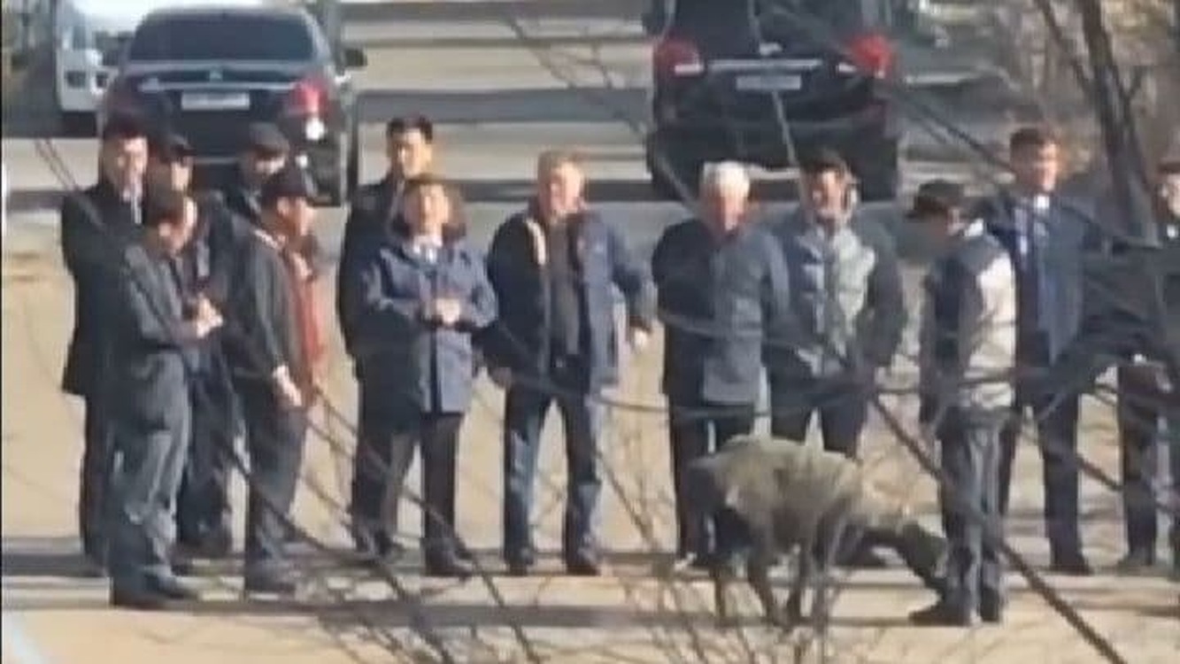 Одним видео: Перед началом сноса гостиницы «Иссык-Куль» принесли в жертву барана — Today.kg