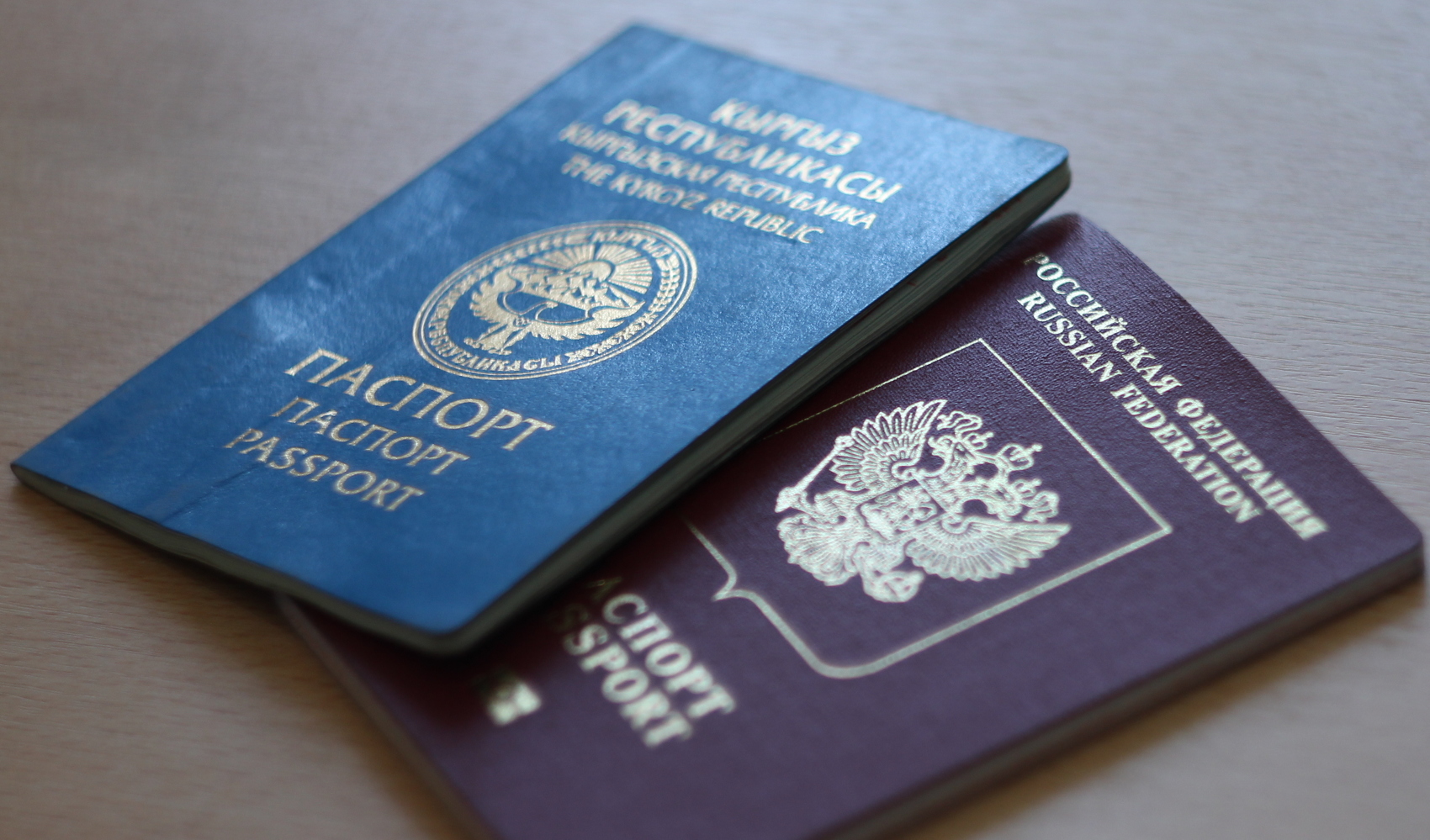 В России готовятся разрешить двойное гражданство — Today.kg