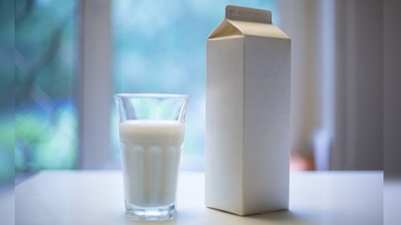 Цены на пастеризованное молоко превысили 60 сомов за литр — Today.kg