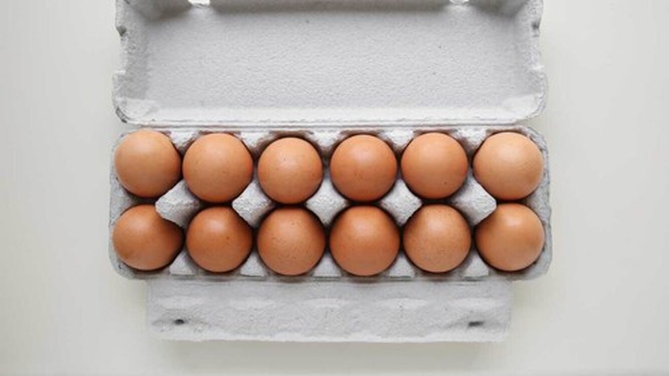 Нацстатком зафиксировал снижение цен на куриные яйца — Today.kg
