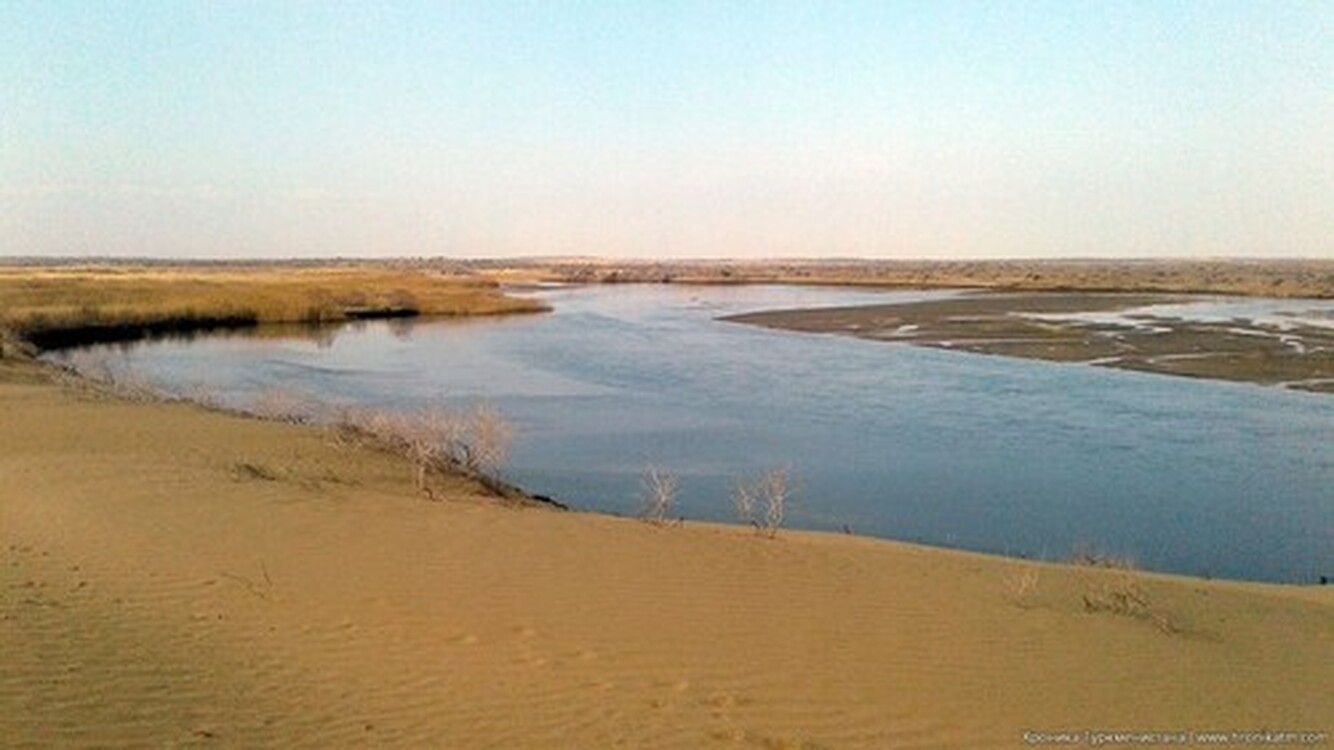 В Туркменистане наблюдается засуха, воды для полива не хватает — Today.kg
