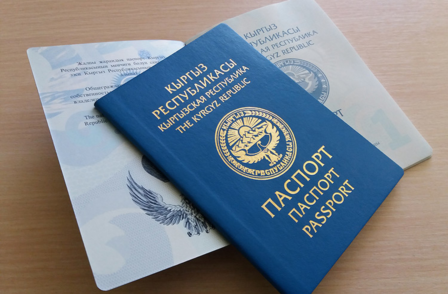 Представлен рейтинг привлекательных паспортов. На каком месте Кыргызстан — Today.kg