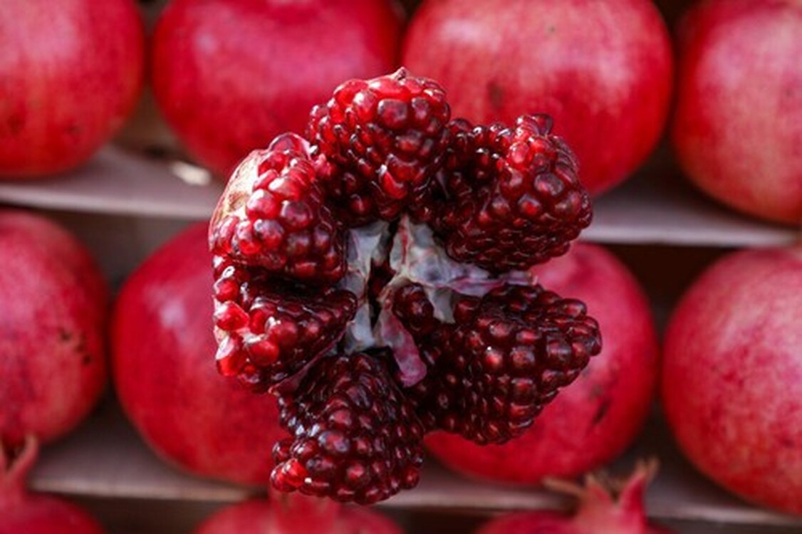 Департамент карантина растений не пропустил в Ошскую область 92,8 тонны фруктов, овощей и сухофруктов из Узбекистана — Today.kg