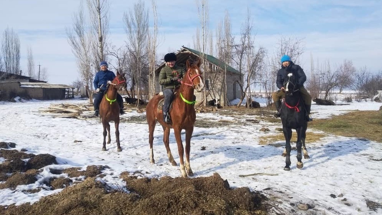 Жизнь в регионах: Лошади жителя села Онбир-Жылга стоят $10 000 — Today.kg