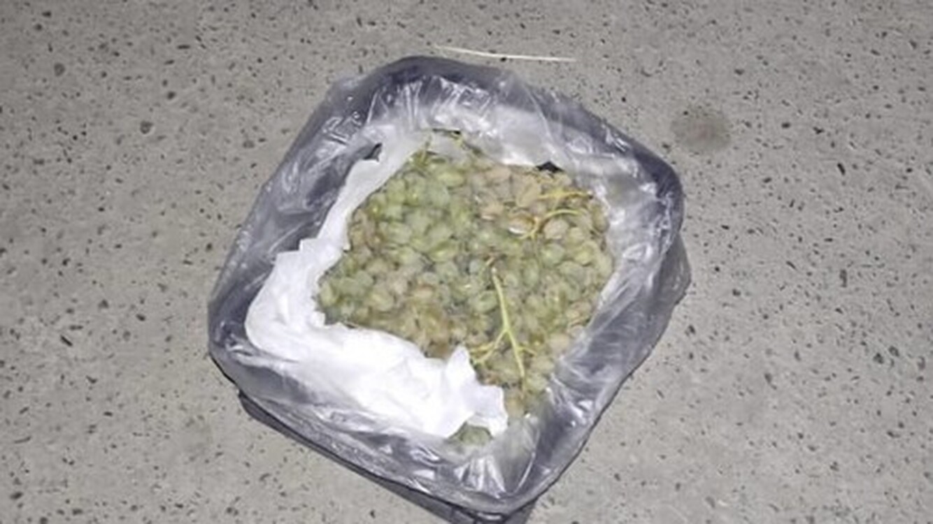 Пограничники пресекли контрабанду 3 тонн винограда из Таджикистана  — Today.kg