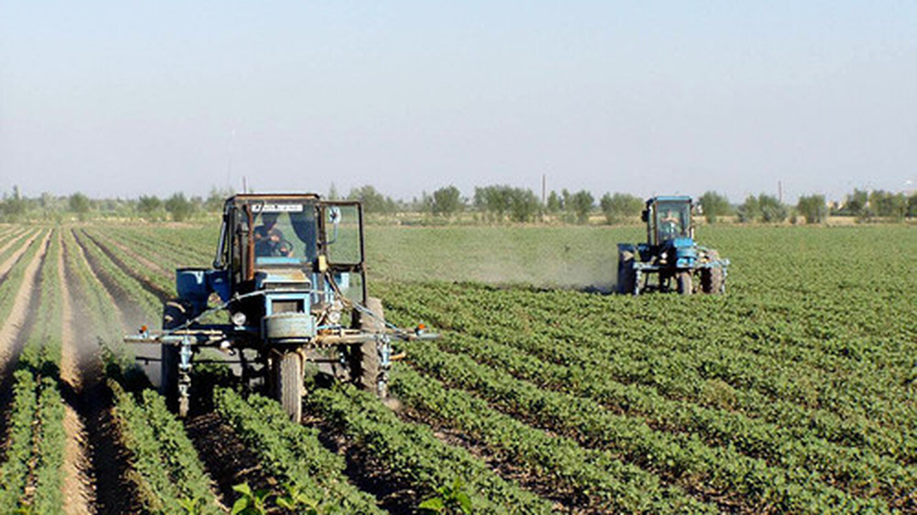 Мелкие фермеры смогут получить кредит под 6% годовых максимум  до 500 тыс. сомов, - Минэкономики — Today.kg