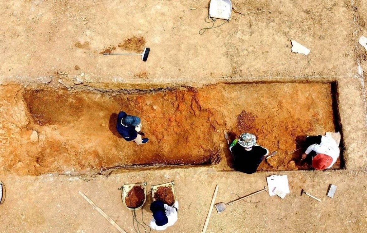 В Китае обнаружили останки древнейшего в Азии стегозавра — Today.kg