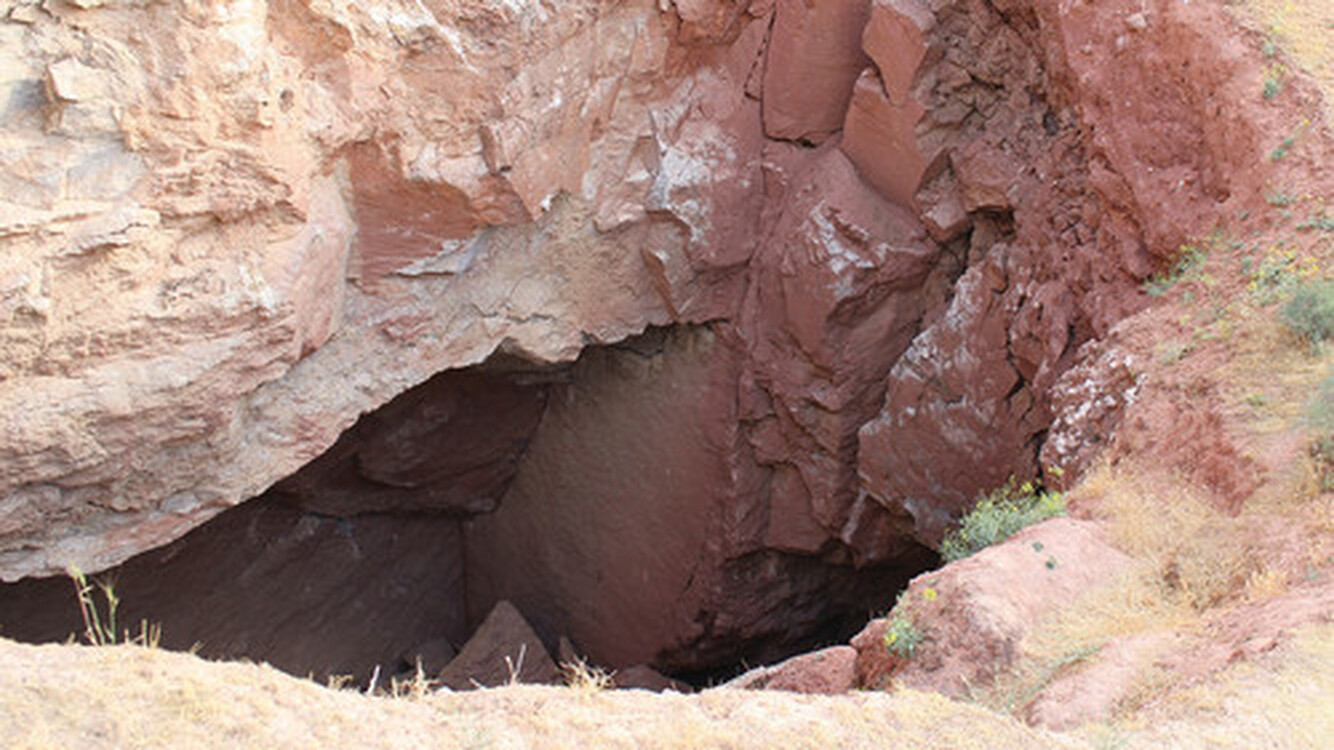 В пещере Туркменистана нашли неизвестное науке животное, - СМИ — Today.kg