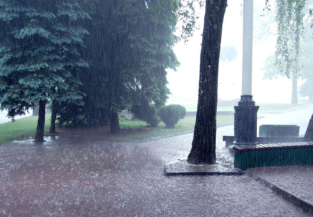 Днем дождь — погода в Бишкеке 3 мая — Today.kg