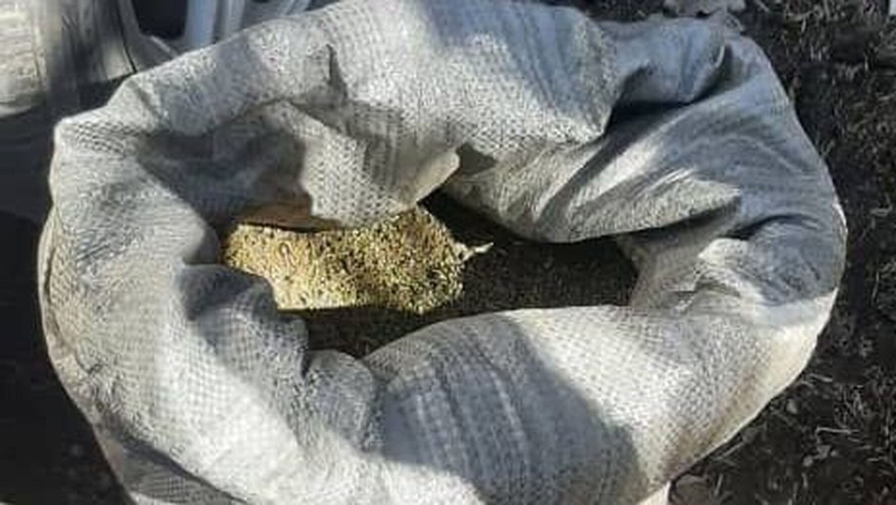 В доме жителя Тюпского района обнаружено около 20 кг марихуаны и гашиша — Today.kg