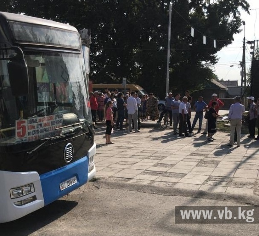 Мэрия запретила работу новых автобусов. Бишкекчане вышли на митинг — Today.kg