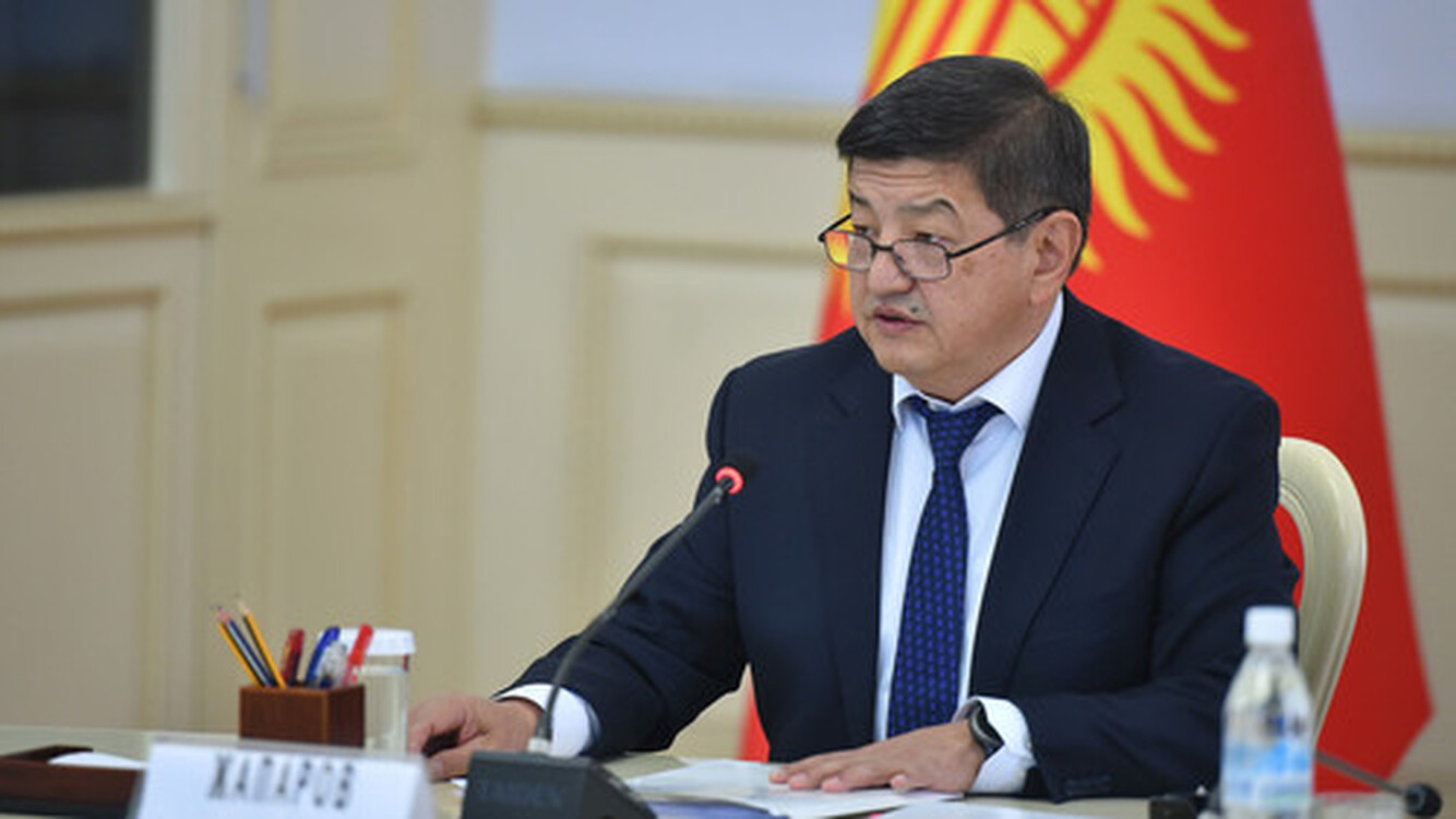 Для Кыргызстана важны опыт и технологии ЕС для достижения целей «зеленого восстановления», - глава кабмина — Today.kg