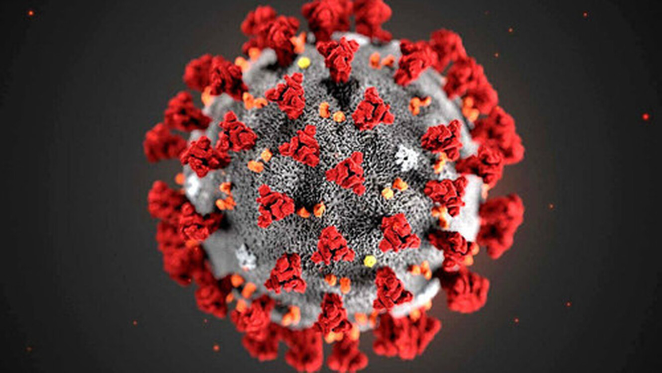 В Нью-Йорке выявлен новый штамм коронавируса «йота» с летальностью до 82% — Today.kg
