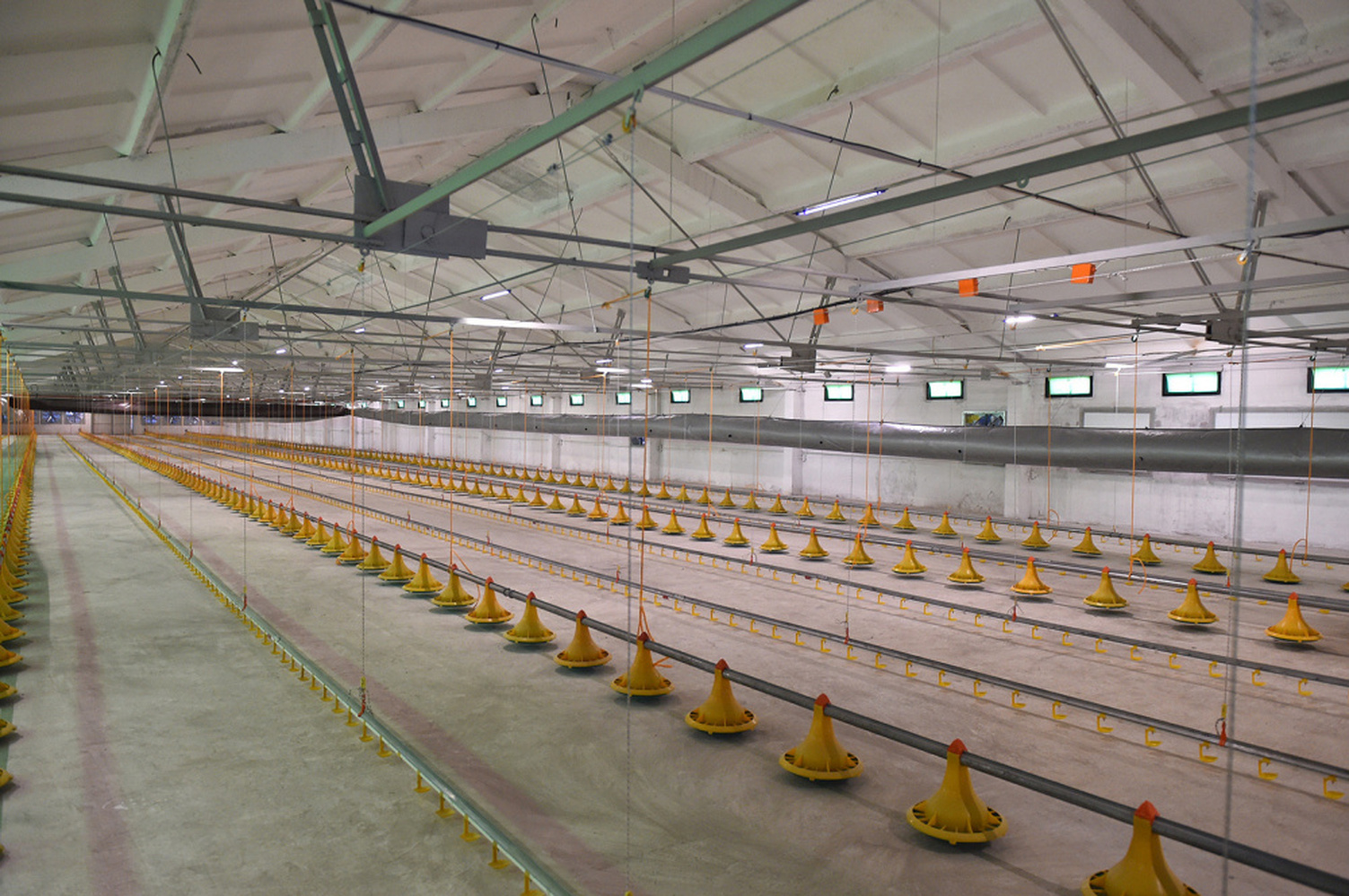 «Димед» построила линии и трансформаторы для самой крупной птицефабрики в Кыргызстане — Today.kg