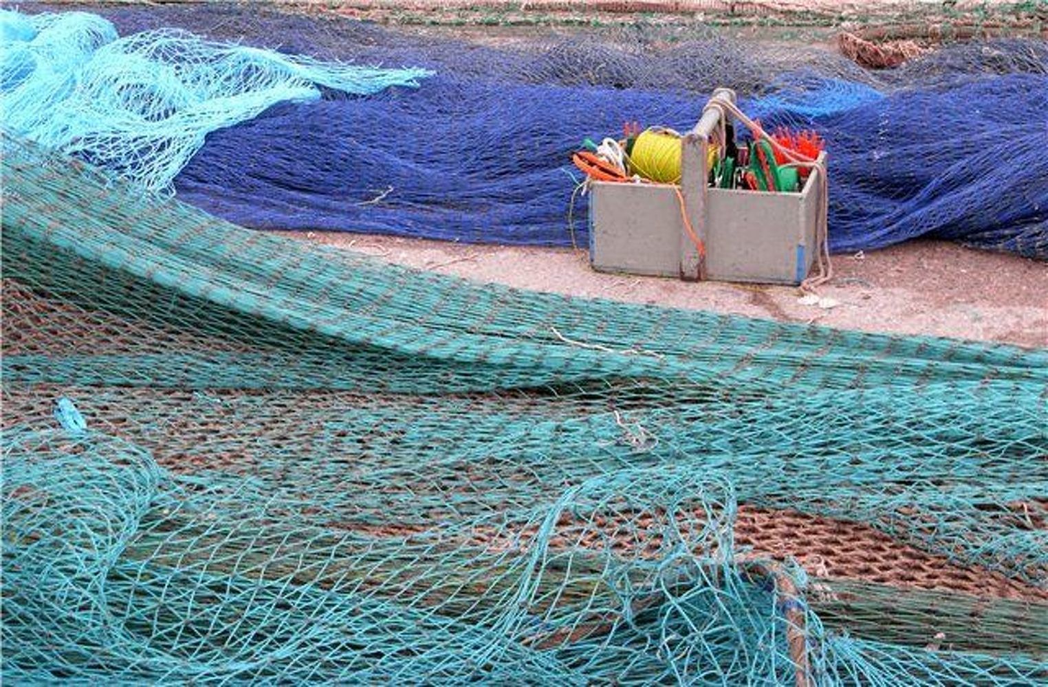 В Кыргызстане запретили синтетические рыболовные сети — Today.kg
