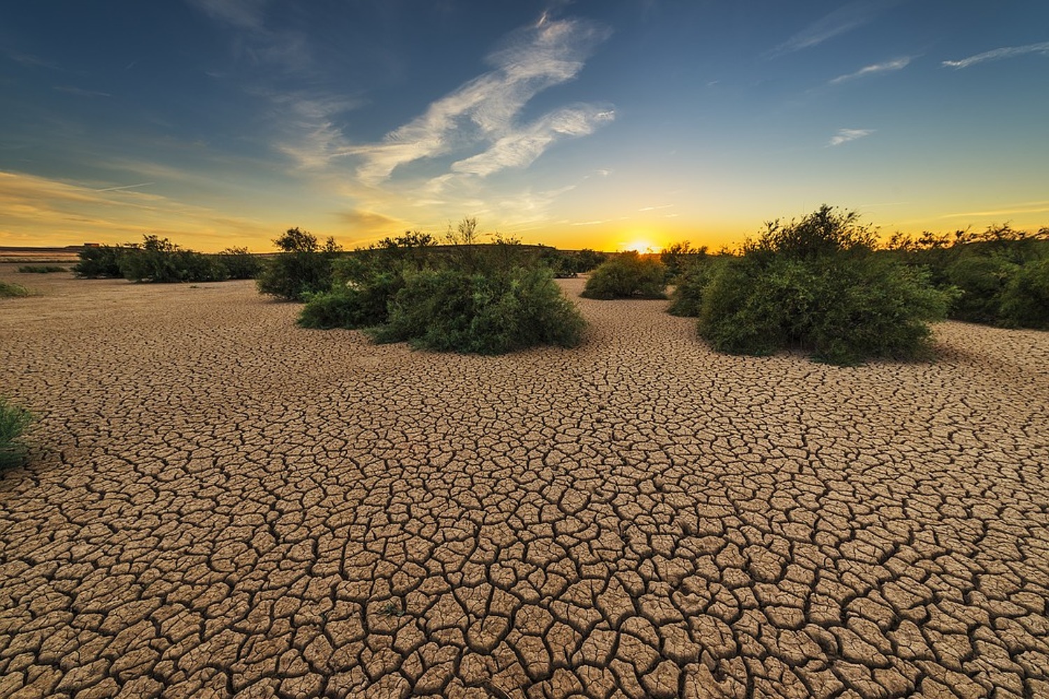 Угроза засухи нависла над Казахстаном. Дефицит воды в стране станет катастрофическим — Today.kg