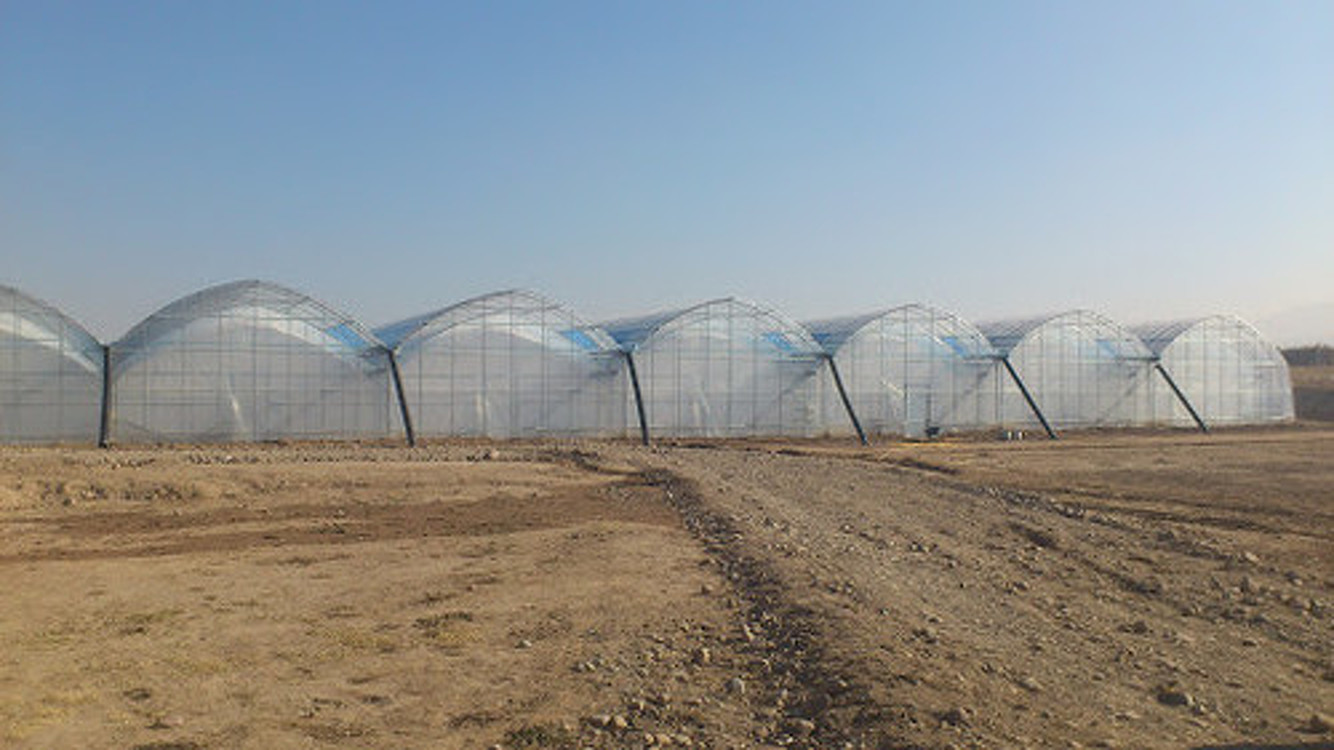 По Кыргызстану построено 2,5 тыс. теплиц с общей площадью 203,4 га, - Минсельхоз — Today.kg