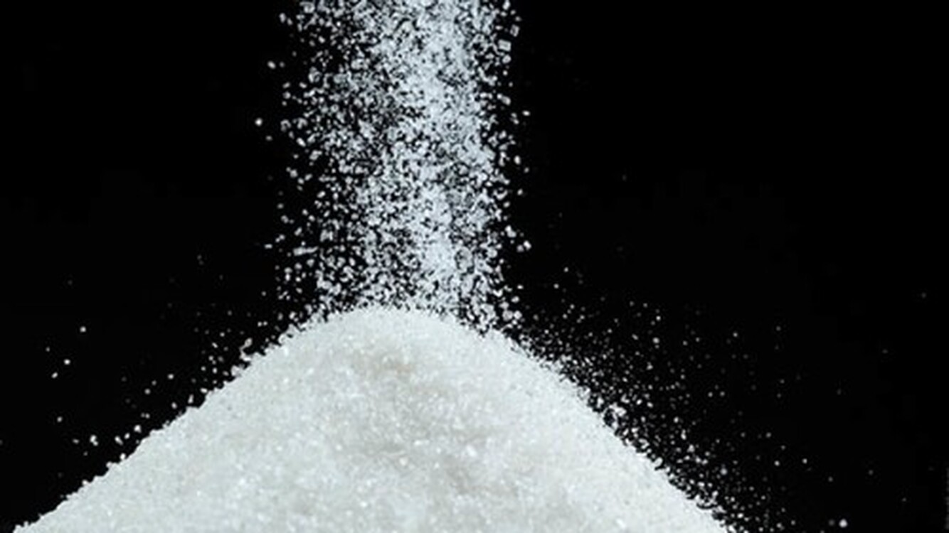 В Госантимонополии объяснили причину высокой стоимости сахара — Today.kg