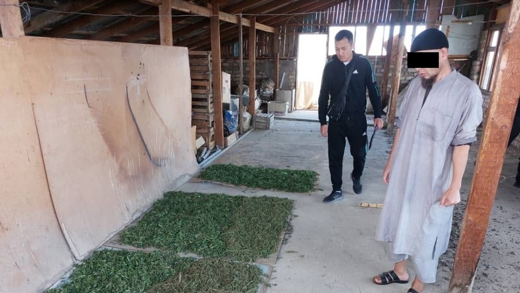 На Иссык-Куле с 9 кг марихуаны задержан житель Чуйской области — Today.kg