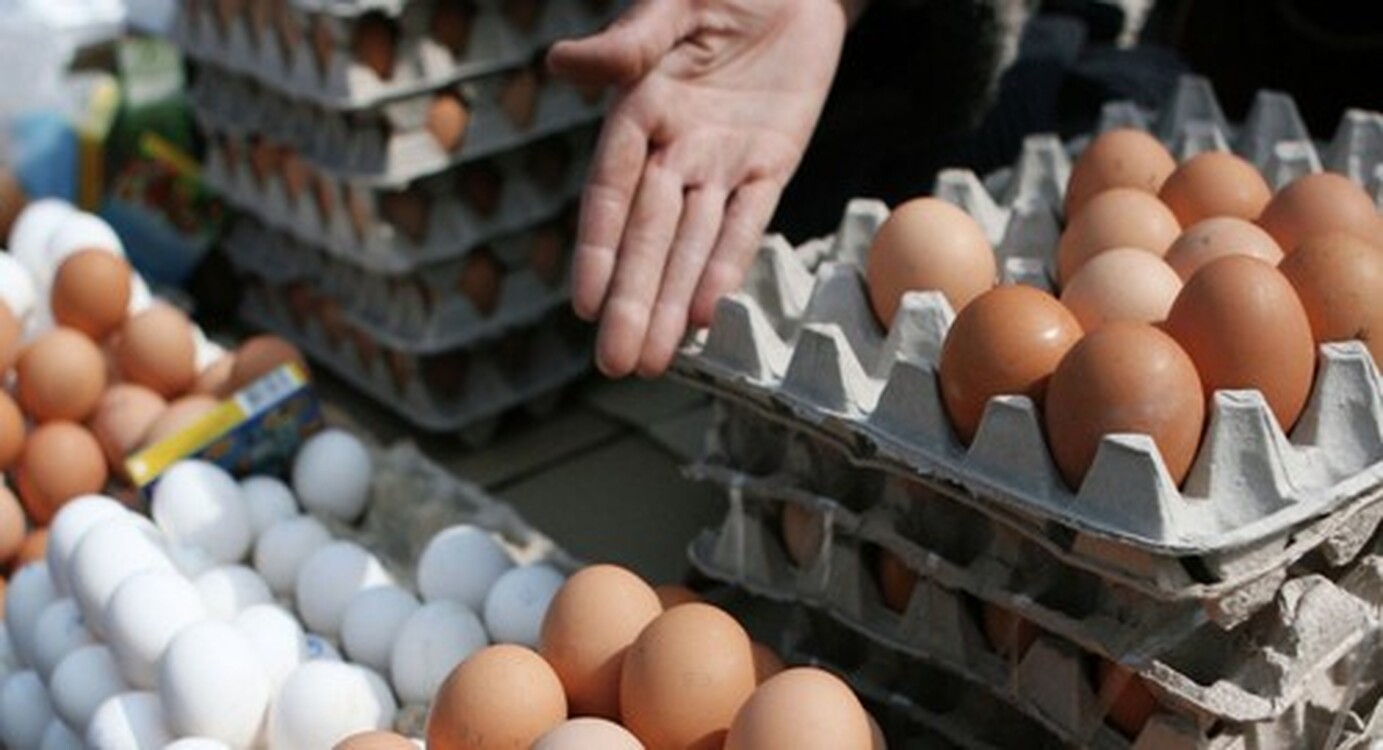 Госантимонополия: На рынке Кыргызстана отмечается сезонное снижение цен на яйца — Today.kg