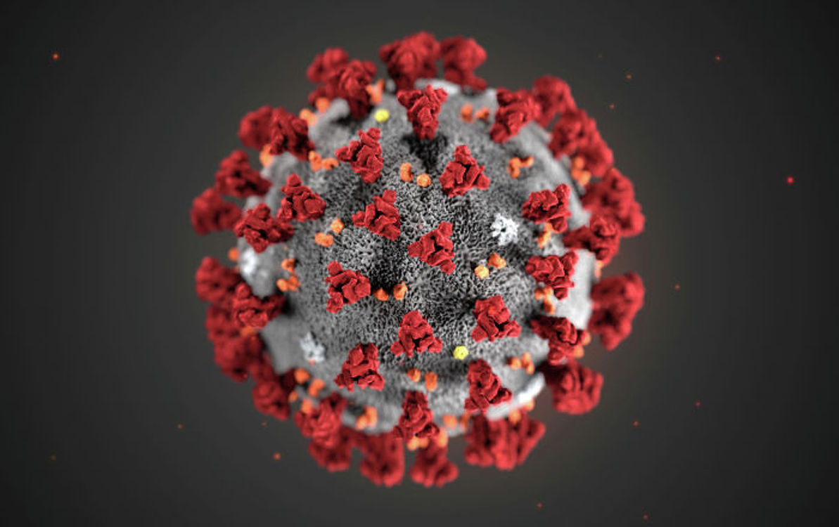 Так выглядит коронавирус - цветное изображение — Today.kg
