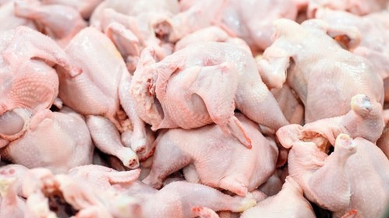 Кыргызстан продолжает импортировать курятину из Украины после начала конфликта — Today.kg