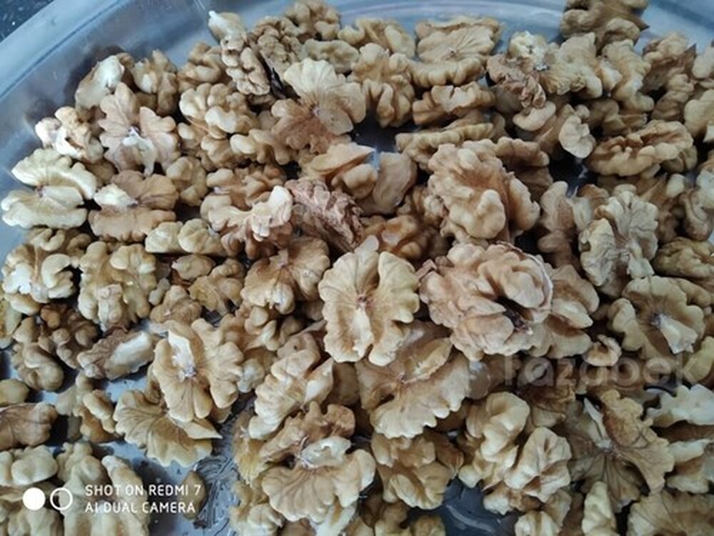 В Оренбургскую область не допустили к ввозу более 52 тонн грецких орехов, сухофруктов и риса из Кыргызстана — Today.kg