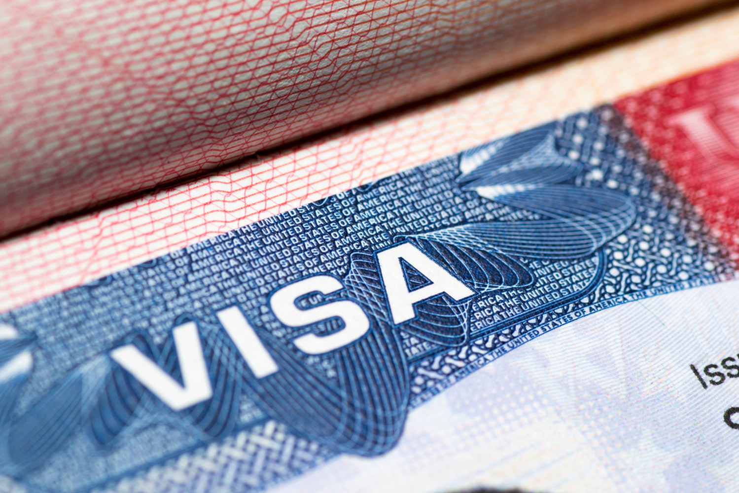 Как получить туристистическую визу в США — гайд — Today.kg