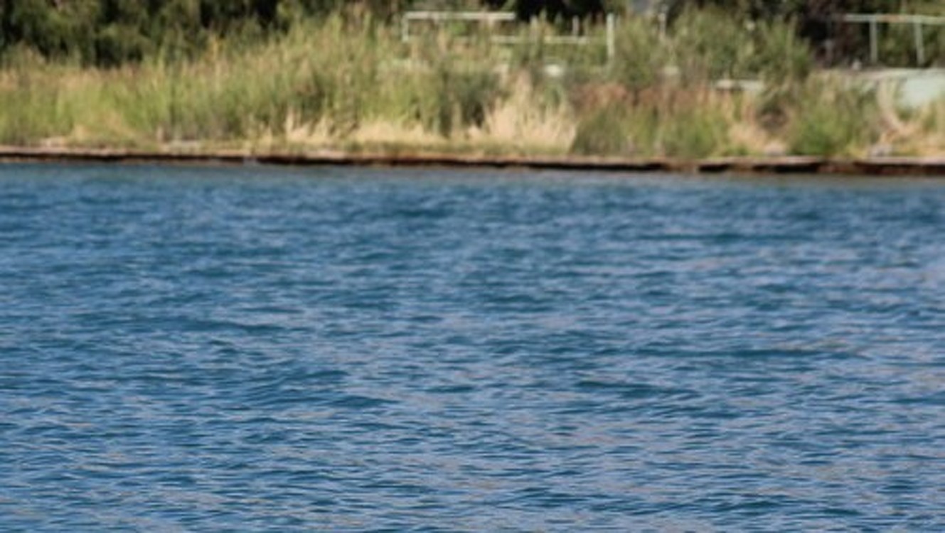 В Ала-Арчинском водохранилище утонула женщина — Today.kg