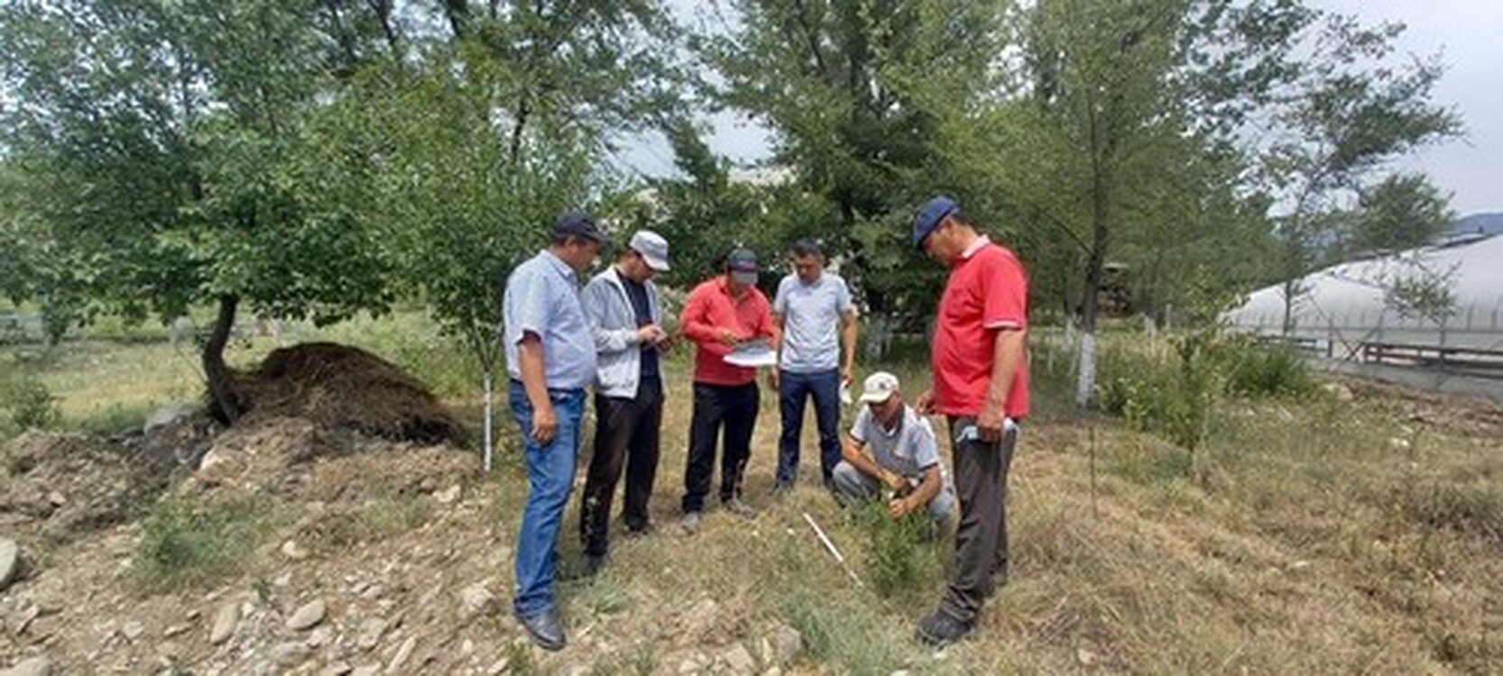 В Кыргызстане появилось мобильное приложение по мониторингу пастбищ — Today.kg