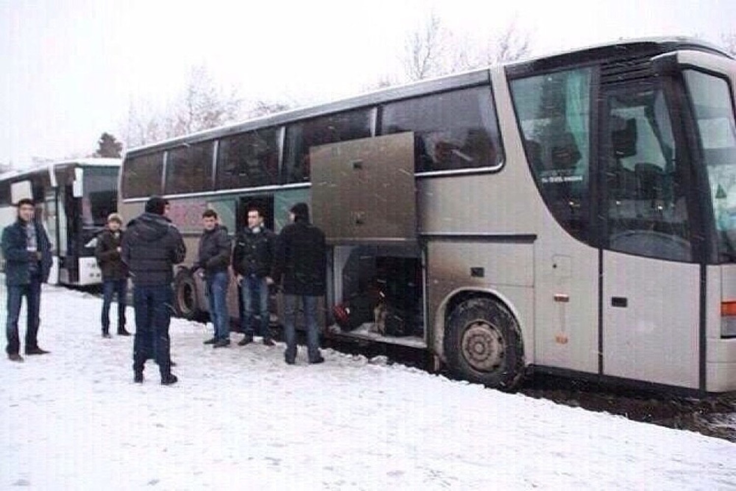 Рабочие из Узбекистана сбежали с российской птицефабрики на двух автобусах — Today.kg