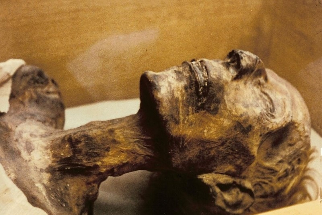 Экспонат разложился. Министр о судьбе захороненной мумии из исторического музея — Today.kg