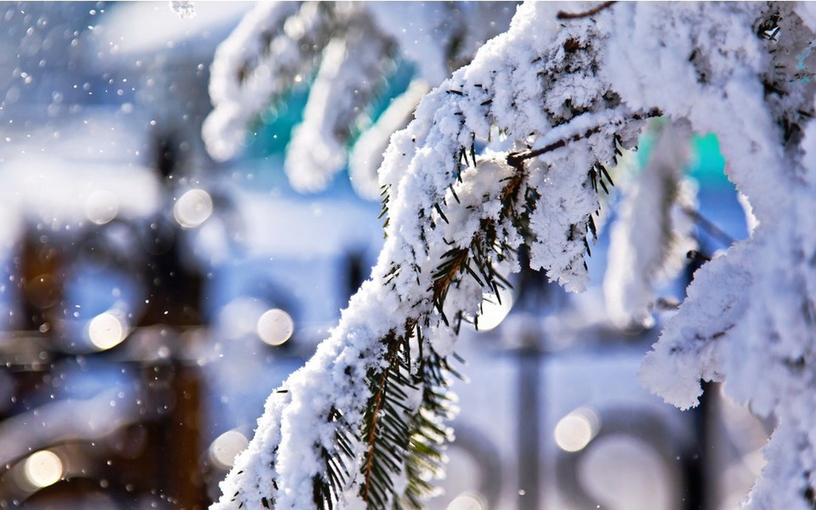 По Кыргызстану дожди и снег — прогноз погоды на 11 декабря — Today.kg