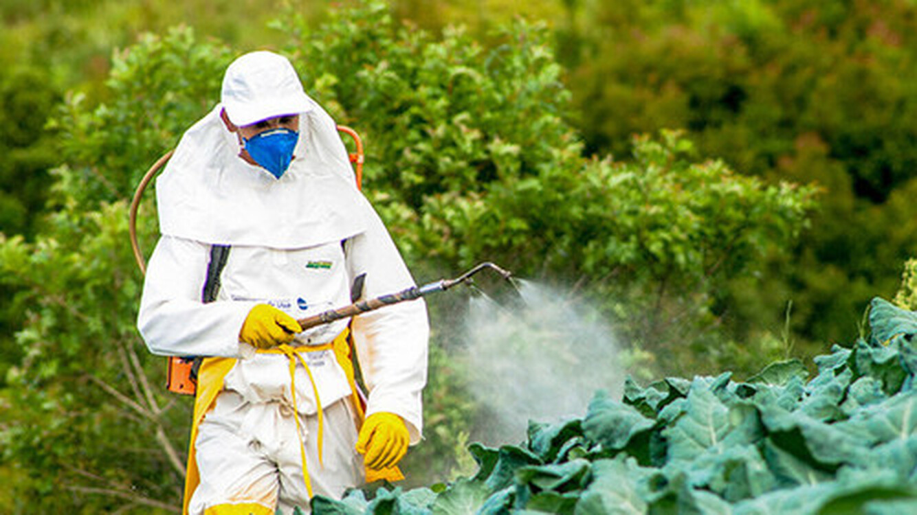 Минсельхоз предлагает зарегистрировать разрешенные в КР пестициды и агрохимикаты и внести их в новый каталог — Today.kg