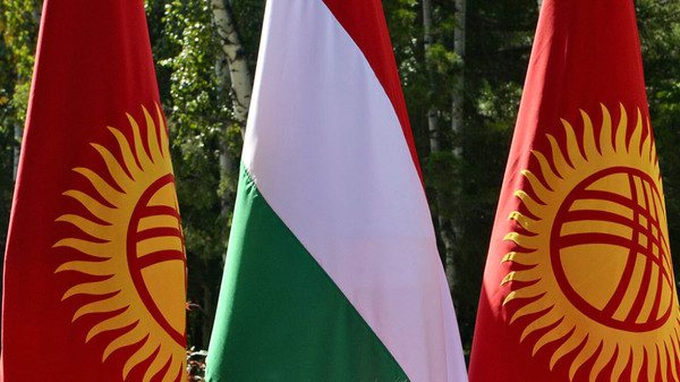 В Кыргызстане собираются создать венгерско-кыргызский фонд развития — Today.kg