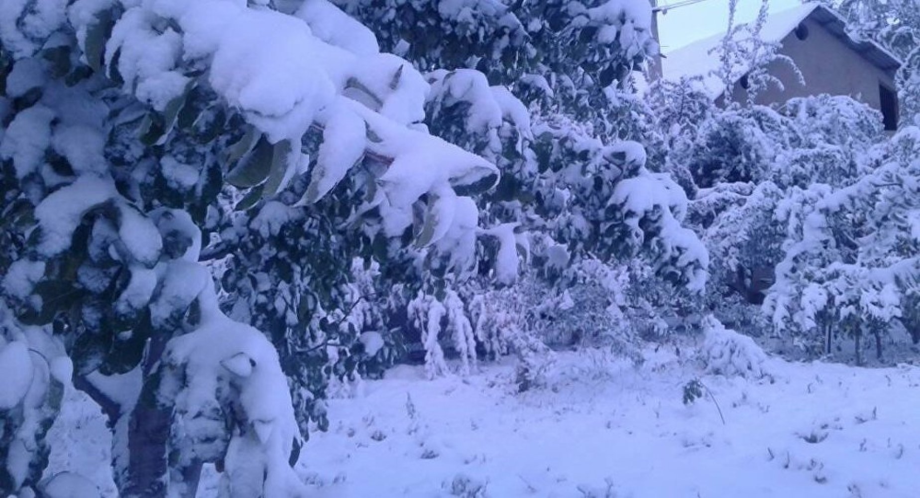 Прогноз погоды в Кыргызстане на 24 ноября: снег — Today.kg