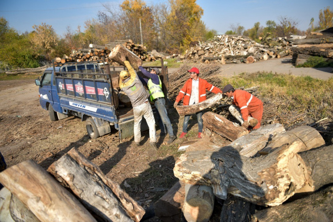 Мэрия Бишкека ежегодно раздает 1,5 куба сухих дров на зиму 500 семьям — Today.kg